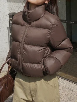 Žieminiai Pūkų Paltai Moterims Korėjos Mados Stovėti Apykaklės Trumpas Parkas Moterų Derliaus Atsitiktinis Tirštėti Šiltas Užtrauktuku Medvilnė Paminkštinimas Striukės